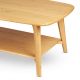 Table basse rectangulaire en bois dimension 120 x 60 cm avec rangement. Style design et contemporain pour salon et salle à mange
